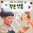 연못들6 | 영종도 작은연못 도마뱀 아기거북 먹이 체험 가능한 조용한 실내 아쿠아리움