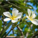 가고싶은 바다섬호텔 이미지