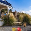 복기애견 이미지