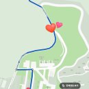 황매산 철쭉제 | 20240504 합천 황매산 철쭉제 후기: 주차, 음식, 철쭉 개화 현황 등