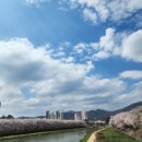 상주추어탕 이미지