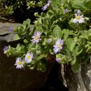 바다와등대가보이는집 이미지