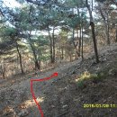 사일온천 이미지