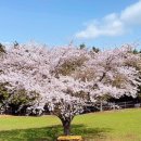 남해-177 이미지