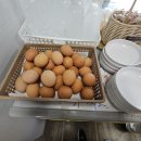 시골집빈대떡