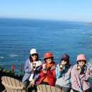 겨울 Big sur 바닷가 캠핑. 12월 5 - 7일 25년. 이미지