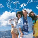 거북이 엔터테이먼트 이미지