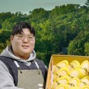 금메달야채과일