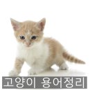 동물병원도담도담 이미지
