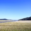 벌교생태공원 이미지