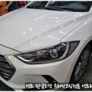 (주)덴트리 네이버블로그