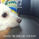 여유로운 여름휴가♡해피장구니와 함께 이미지