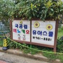 피노키오 유아스쿨