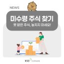 둔산중로-52 이미지
