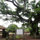 성읍리-18 이미지