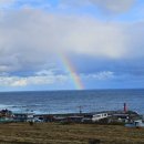 구룡포장길리민박 이미지