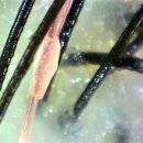 티나헤어샵 이미지