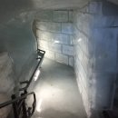스위스 융프라우 정상 후기, 7월 날씨 고산병 신라면 꿀팁 정리