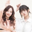 토깽이네 이미지