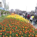 자연-어울림 이미지