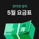 성지컨설턴트