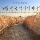 양뷰티컨설팅