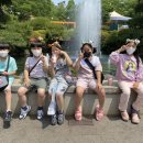 비호태권도장 이미지