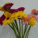 행복이 가득한 터 이미지