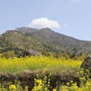 남해-311 이미지