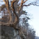 만전당길 이미지