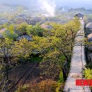 낙안축산 이미지