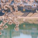 종합버스터미널 건너편 이미지