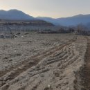 인비농장 이미지