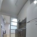 삼지플러스