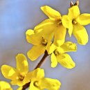 우화 목장 이미지