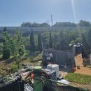 영천동물병원 이미지