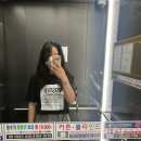 하이콕콕