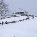 태백목장 이미지