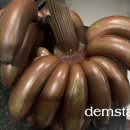 빨간산농장 이미지