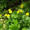 등산로(상) 이미지