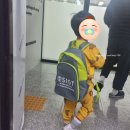 세종의 아침 태권도 | [일상] 25년 12월