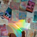 제주젬젬 이미지