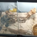 만천농장 이미지