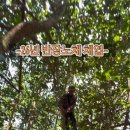 머리반장 - 의왕시 | 머리반장