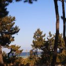 바다마중 이미지