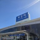 [1/3] 목포를 지나 홍도까지... 이미지