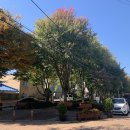 수인선 세류공원 이미지