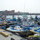 등대약국 앞 이미지