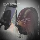 하이스칼프 이미지