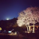 캠핑파크 이미지